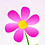 Evicka_Aege