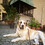 Gabriel_Legeza