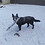 Marek_Bures