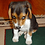 Martin_Privratsky