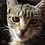 verven_9